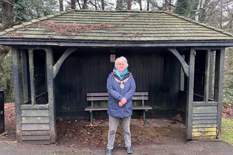 Councillor and Haslemere Mayor Jean Arrick at the Beacon Hill bus stop, calling for slower traffic and safer crossings for children and residents.