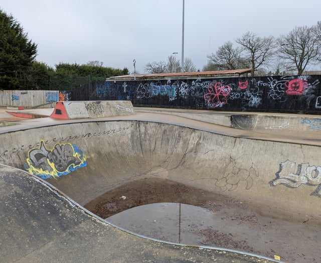 Time for a spring clean as graffiti increases at skate park