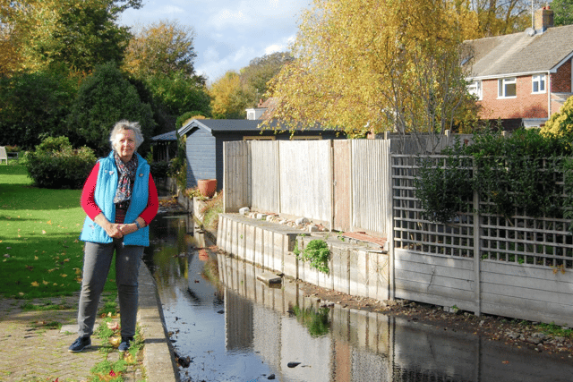 Lib Dems step up campaign to protect Hampshire’s chalk streams