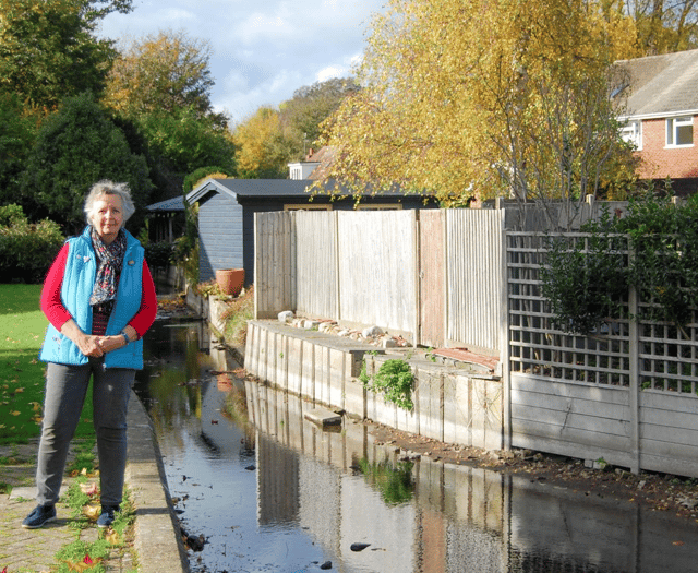Lib Dems step up campaign to protect Hampshire’s chalk streams