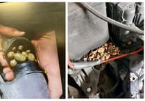 Nut case as Petersfield mechanics make cracking discovery in VW Golf