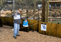 Half-term boost for Birdworld as visitor numbers rise 70 percent