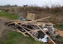 Fly-tippers strike again as pile dumped on road near Selborne