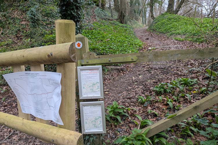 Buttons Lane Empshott Green