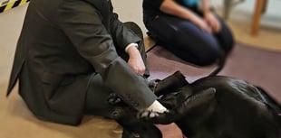 East Hampshire MP visits Alton-based Dogs for Autism