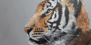 Hampshire and Surrey clubs and societies news