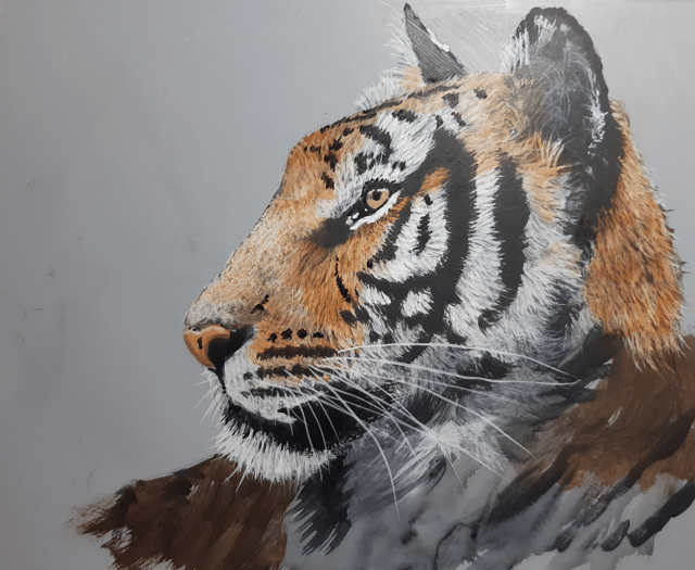 Hampshire and Surrey clubs and societies news