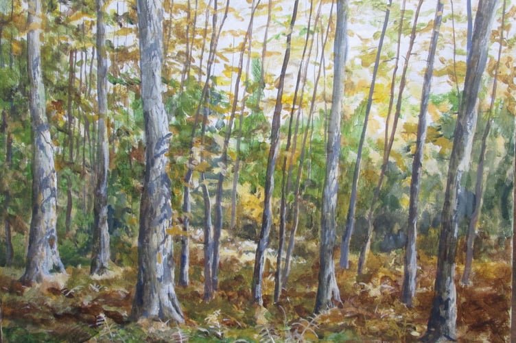 Larch wood, by Robin Lees, March 2026.