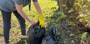 Taking out the trash as councillors unite against fly-tippers