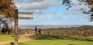 Lifeline for Surrey’s rare heathland as £285k funding secured