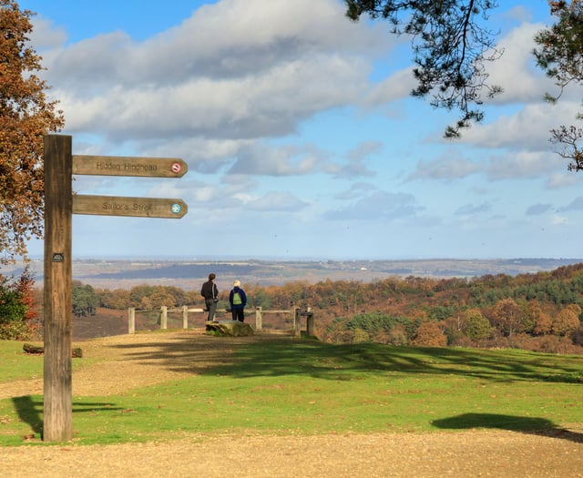 Lifeline for Surrey’s rare heathland as £285k funding secured