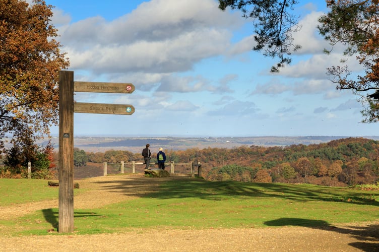 Hindhead Commons and the Devil's Punch Bowl