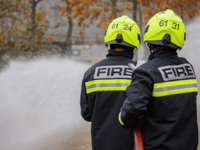 Large den destroyed in woodland blaze near Headley Down