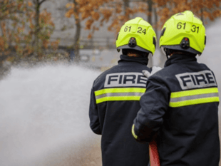 Large den destroyed in woodland blaze near Headley Down
