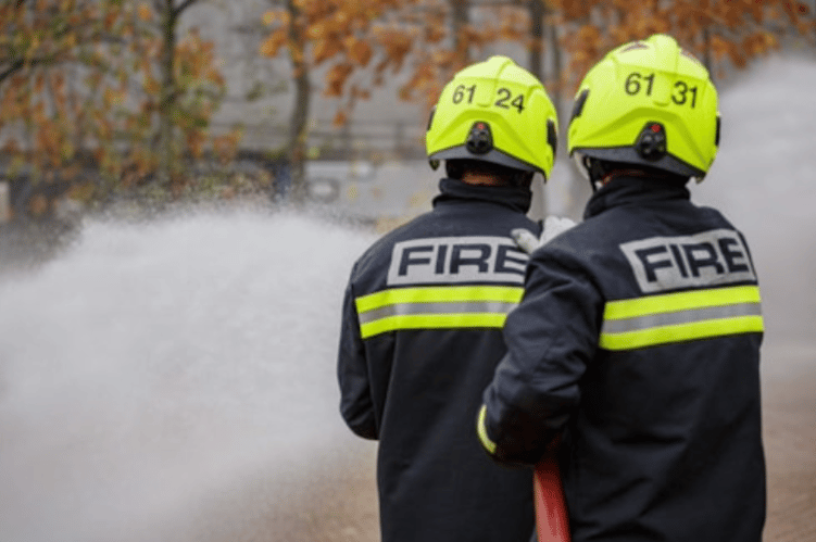 Large den destroyed in woodland blaze near Headley Down