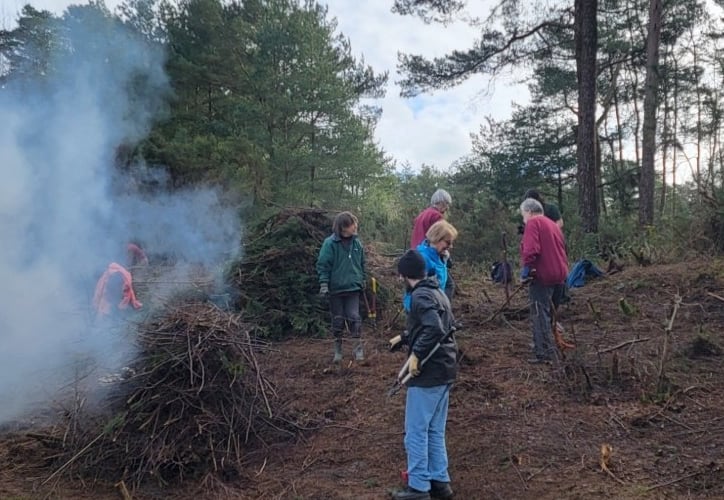 Deadwater Valley Trust Clearance Hogmoor