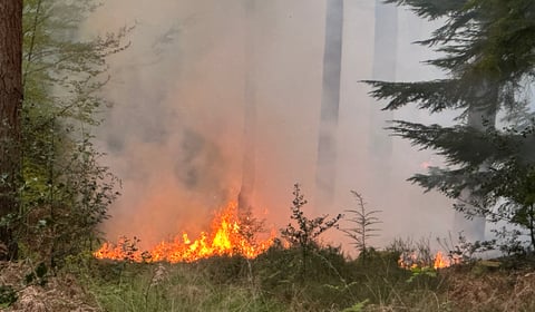 Fire crews tackle major heath blaze on Surrey–Hants border