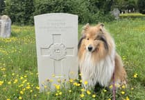 Grave of First World War soldier on cemetery tour