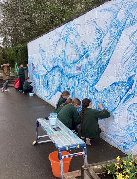 Turtle mural, Anstey Junior School, Alton, May 2026.