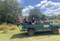 South Africa safari adventure for Alton College students