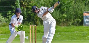 Alton's second team earn eight-wicket win against Ferndown Wayfarers