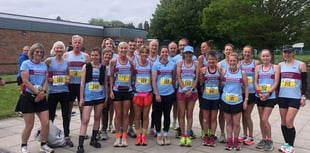 Farnham Runners continue to impress