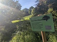 Wild for it: Petersfield nature reserve to hold Nature Day
