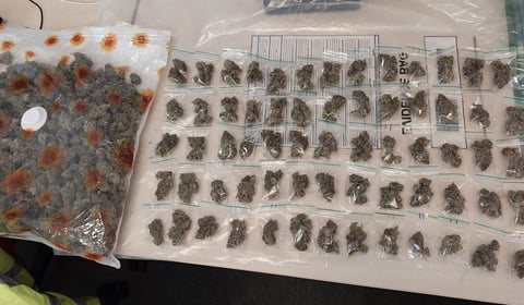 Police take £15,000 worth of drugs off streets of Alton