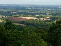 Join our Surrey and Hampshire team