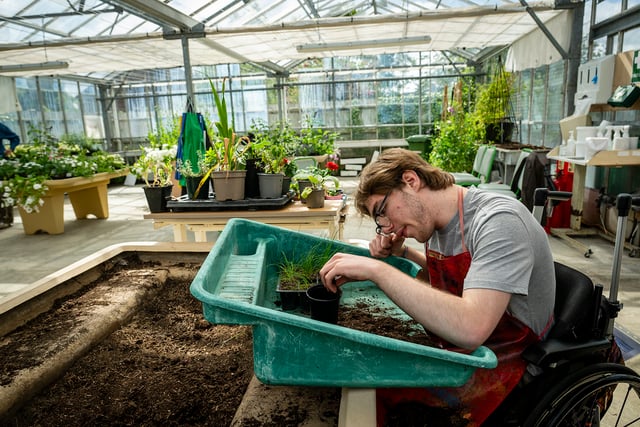 Coffee company charity supports Treloar's gardening project