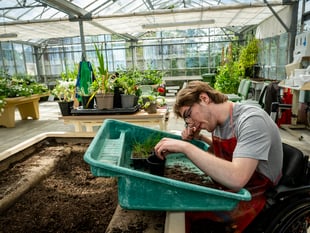 Coffee company charity supports Treloar's gardening project