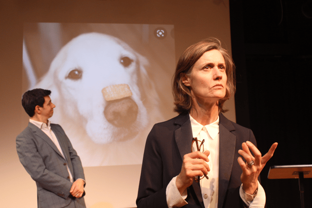 Review: How To Be The Perfect Couple, Alton Arts Festival
