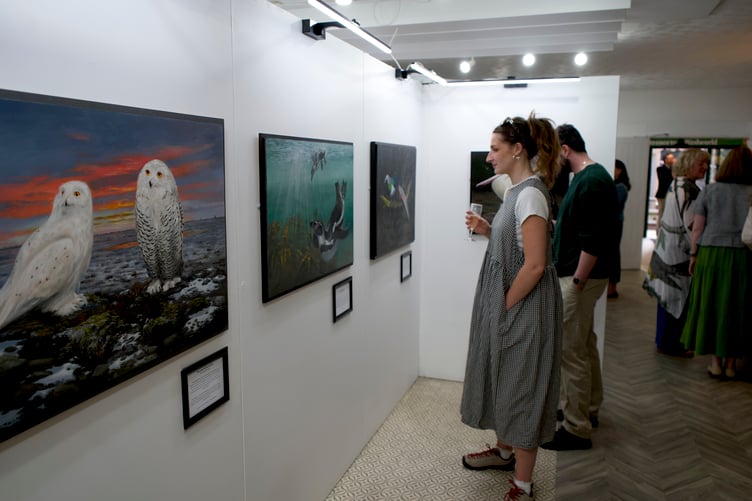 Guests view the paintings at Birdworld's first art exhibition.
