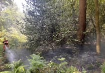 Ban disposable BBQ plea as wildfire risk rises on Surrey and Hants heathland