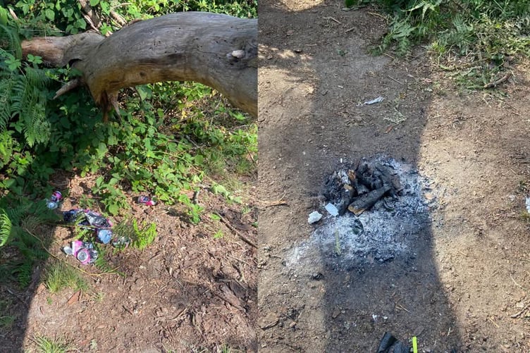 Petersfield Heath campfire