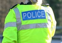 Hampshire teenager dies after late-night crash
