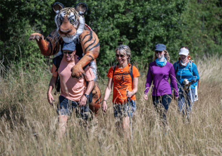Paul Goldstein and his nine-foot tall tiger suit lead some guest walkers on his 2 Feet For 4 1,000-mile walking challenge, August 2026.