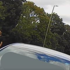 Police release video footage of A31 crash suspect 