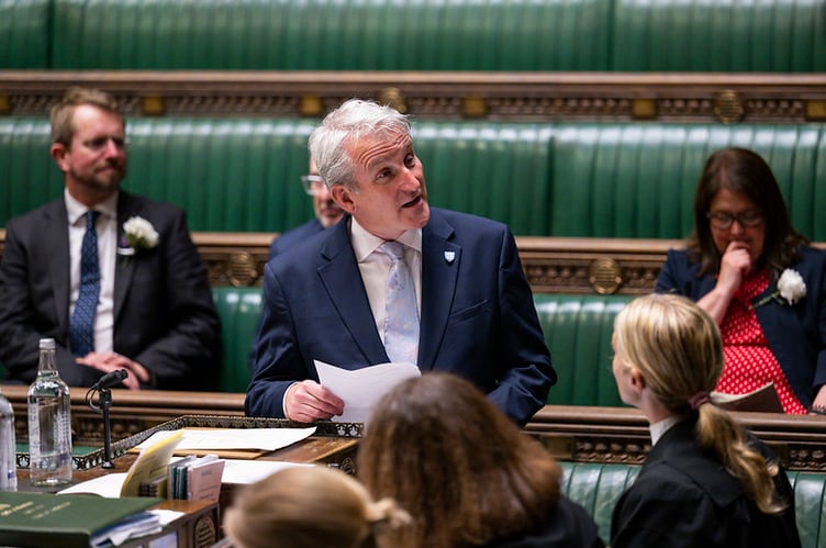 East Hampshire MP Damian Hinds speaking in the House of Commons.