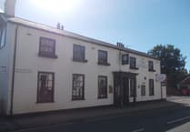 The George pub in Alton is up for sale after closure