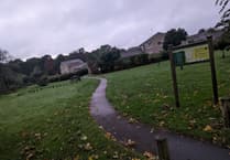 'He just destroyed himself': Tragic end for IT genius, 37, found dead in park.