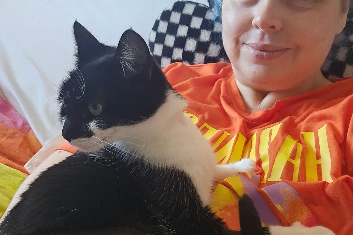 Paralysed woman raises funds for cat's recovery after road accident