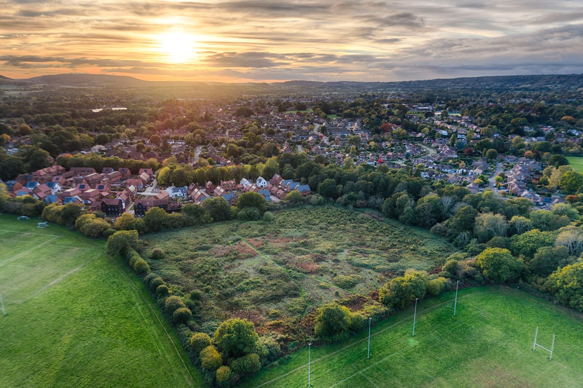 Dormice court case threatens Petersfield rugby pitch plans
