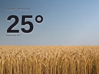 Bordon: sunny day, high of 25°C