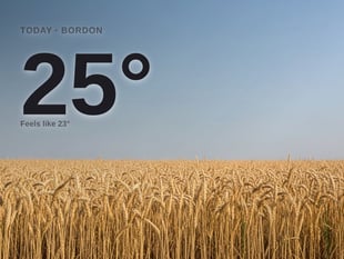 Bordon: sunny day, high of 25°C