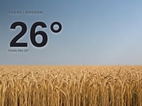 Bordon: sunny day, high of 26°C