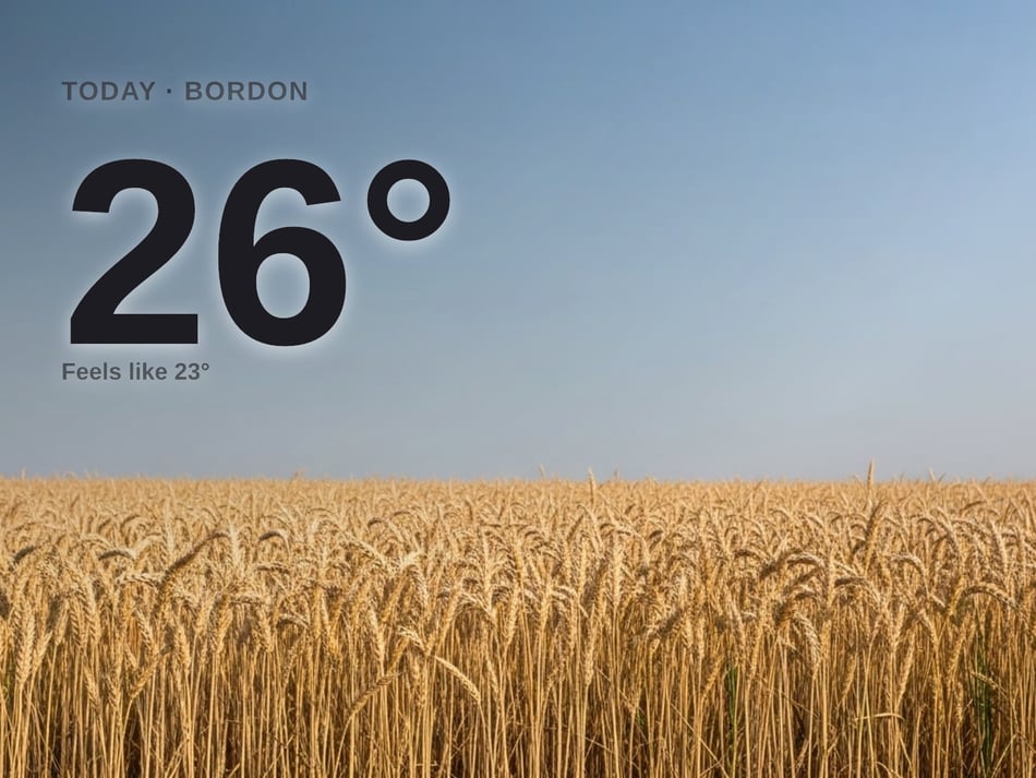 Bordon: sunny day, high of 26°C
