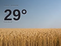 Bordon: sunny day, high of 29°C