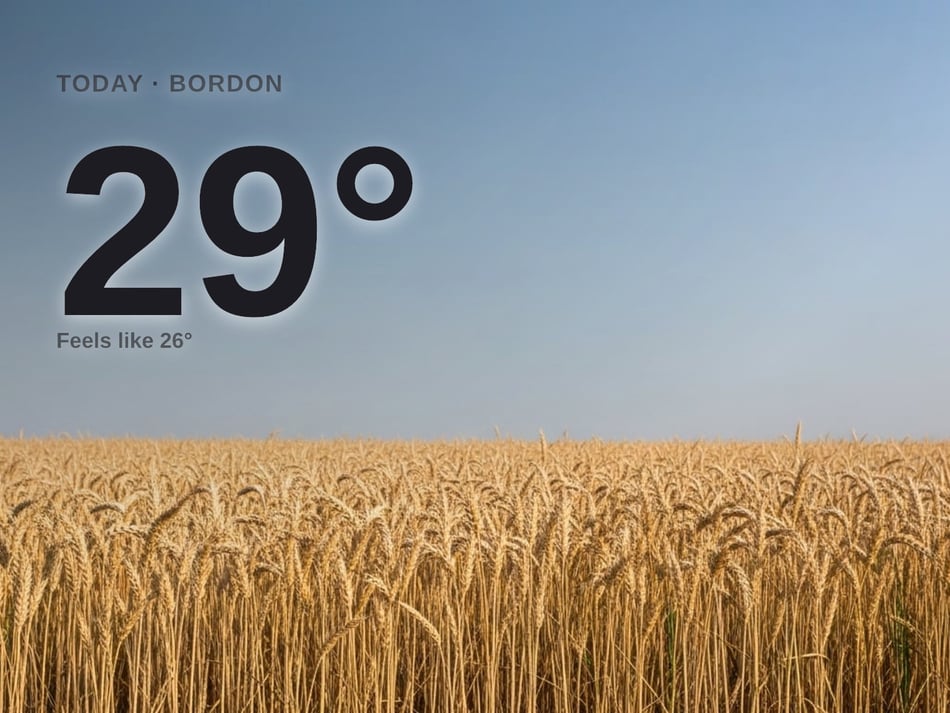 Bordon: sunny day, high of 29°C