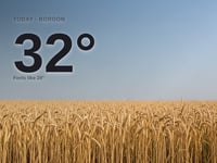 Bordon: sunny day, high of 32°C